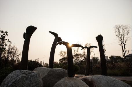 谁，在让城市雕塑自然生长？