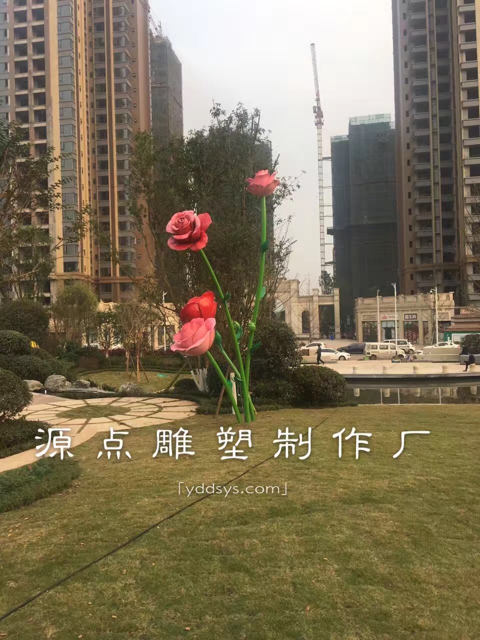2016113011938248.jpg